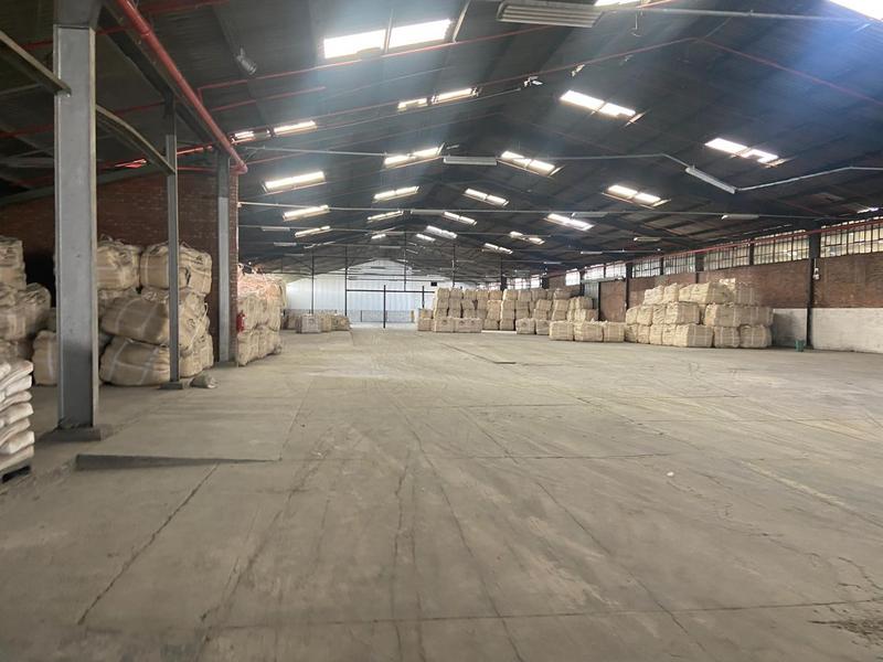 To Let Commercial Property for Rent in Deal Party Eastern Cape